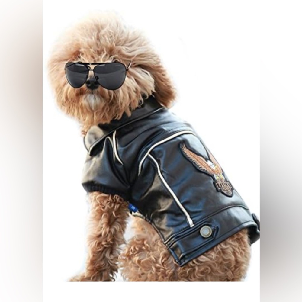 Dog Vest Biker Buddy Black Dawg Jacket with Eagle Patch BRAND NEW   Size Medium